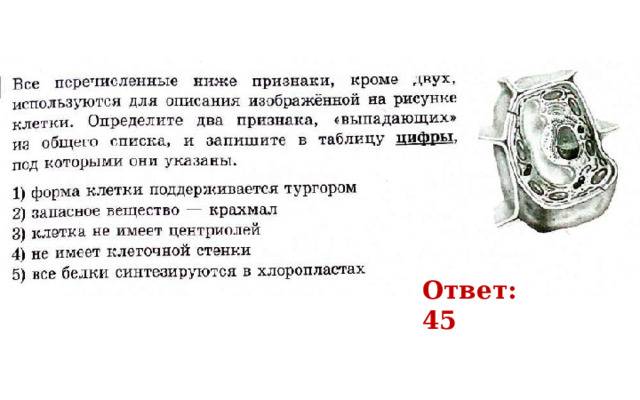 Ответ: 45 
