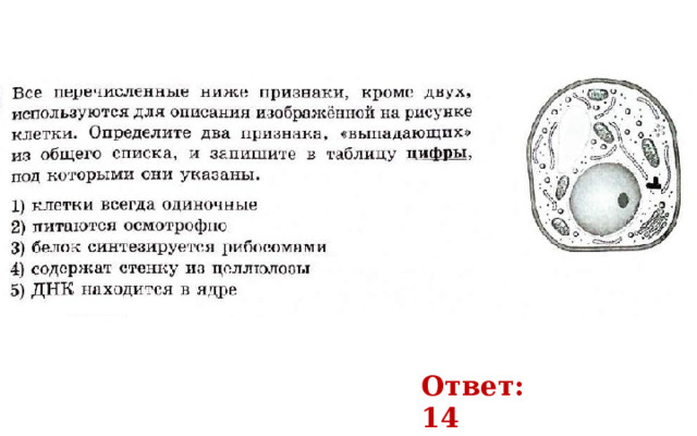 Ответ: 14 