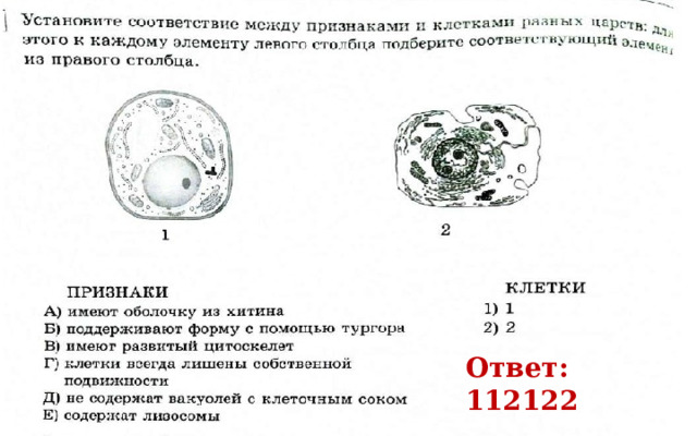 рОХ 16 Ответ: 112122 