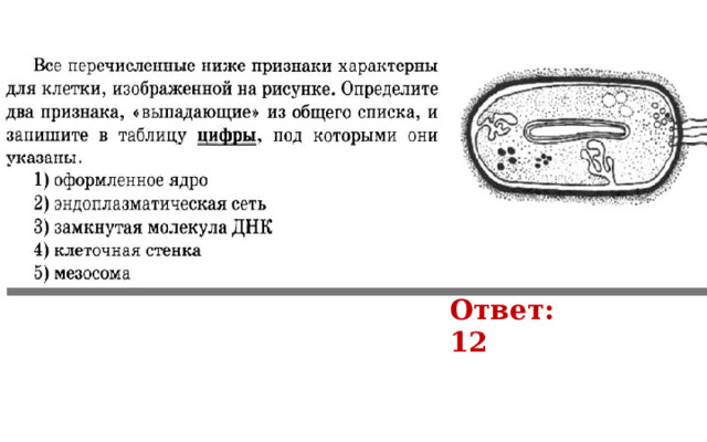 Прил 15 Ответ: 12 