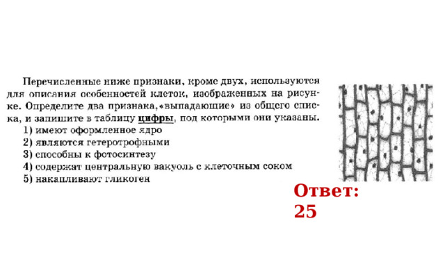 Ответ: 25 