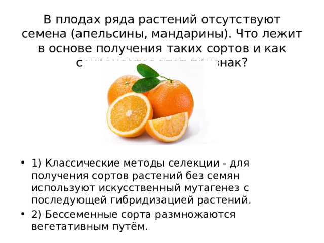 В плодах ряда растений отсутствуют семена (апельсины, мандарины). Что лежит в основе получения таких сортов и как сохраняется этот признак? 1) Классические методы селекции - для получения сортов растений без семян используют искусственный мутагенез с последующей гибридизацией растений. 2) Бессеменные сорта размножаются вегетативным путём. 