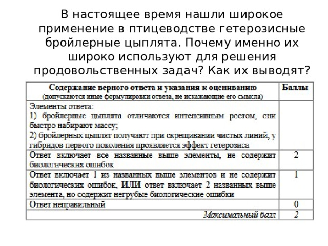 В настоящее время нашли широкое применение в птицеводстве гетерозисные бройлерные цыплята. Почему именно их широко используют для решения продовольственных задач? Как их выводят? 
