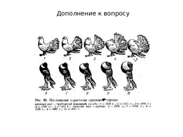 Дополнение к вопросу 