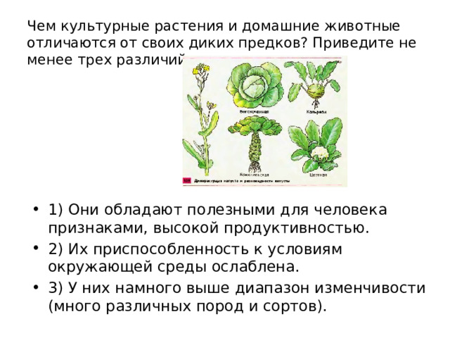 Чем культурные растения и домашние животные отличаются от своих диких предков? Приведите не менее трех различий. 1) Они обладают полезными для человека признаками, высокой продуктивностью. 2) Их приспособленность к условиям окружающей среды ослаблена. 3) У них намного выше диапазон изменчивости (много различных пород и сортов). 