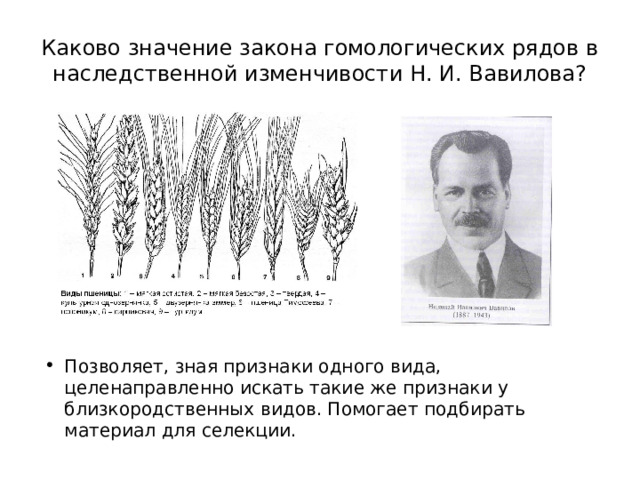 Каково значение закона гомологических рядов в наследственной изменчивости Н. И. Вавилова? Позволяет, зная признаки одного вида, целенаправленно искать такие же признаки у близкородственных видов. Помогает подбирать материал для селекции. 