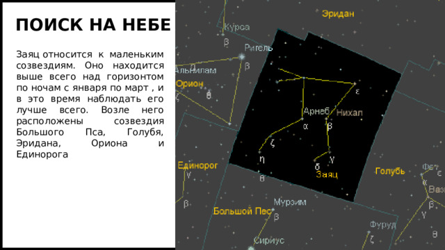 ПОИСК НА НЕБЕ Заяц относится к маленьким созвездиям. Оно находится выше всего над горизонтом по ночам с января по март , и в это время наблюдать его лучше всего. Возле него расположены созвездия Большого Пса, Голубя, Эридана, Ориона и Единорога 