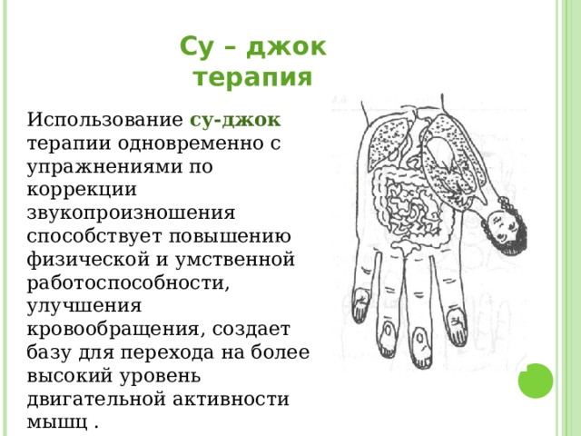 Су – джок терапия Использование  су-джок терапии одновременно с упражнениями по коррекции звукопроизношения способствует повышению физической и умственной работоспособности, улучшения кровообращения, создает базу для перехода на более высокий уровень двигательной активности мышц . 