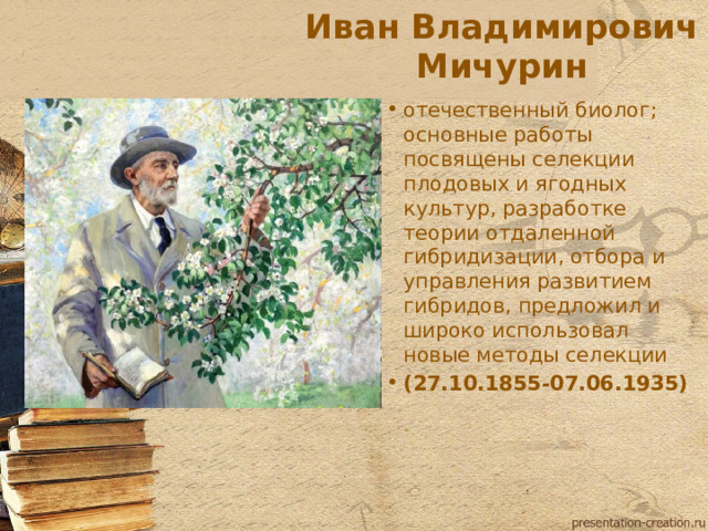 Иван Владимирович Мичурин отечественный биолог; основные работы посвящены селекции плодовых и ягодных культур, разработке теории отдаленной гибридизации, отбора и управления развитием гибридов, предложил и широко использовал новые методы селекции (27.10.1855-07.06.1935)  