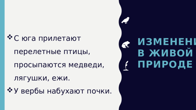 Изменения  в живой  природе С юга прилетают перелетные птицы, просыпаются медведи, лягушки, ежи. У вербы набухают почки. 