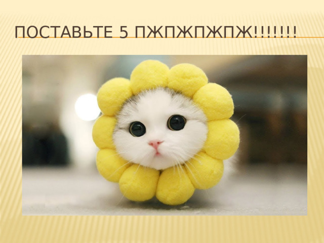 Поставьте 5 пжпжпжпж!!!!!!! 