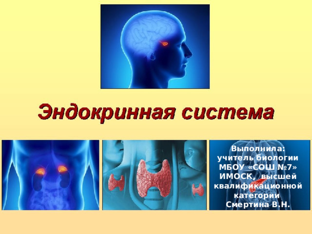 ЭНДОКРИННЫЙ АППАРАТ Выполнила: учитель биологии МБОУ «СОШ №7» ИМОСК, высшей квалификационной категории Смертина В.Н. 