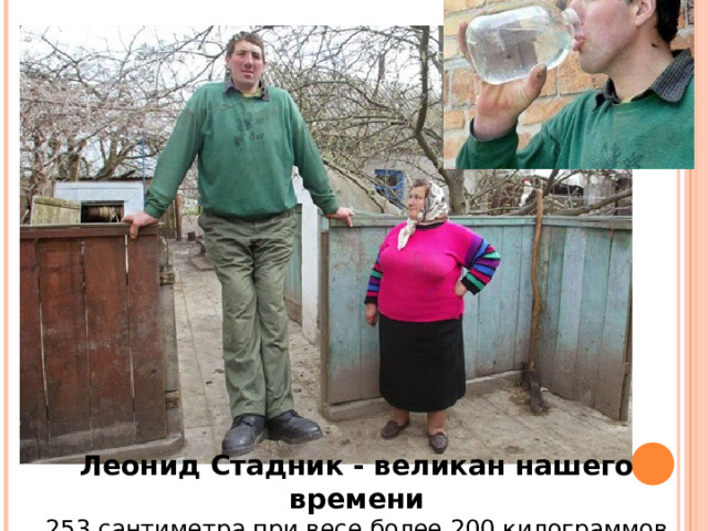 Леонид Стадник - великан нашего времени 253 сантиметра при весе более 200 килограммов    