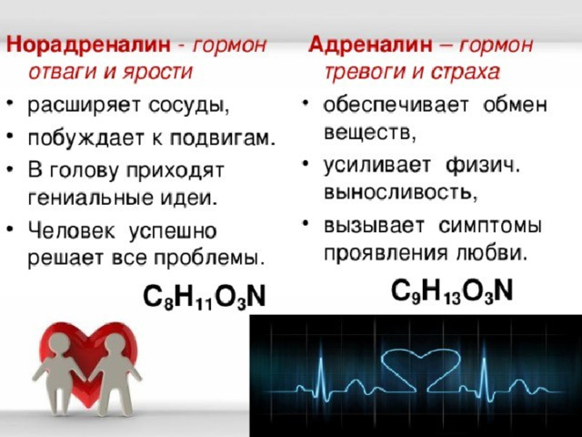 МОЗГОВОЙ СЛОЙ ГОРМОН – АДРЕНАЛИН И НОРАДРЕНАЛИН.  