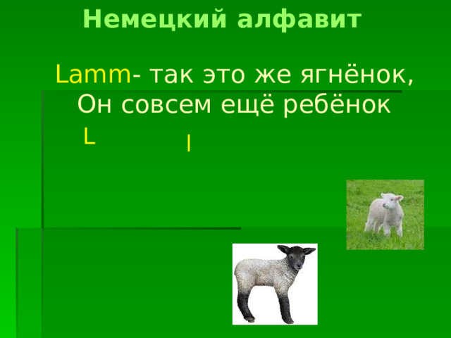 Немецкий алфавит Lamm - так это же ягнёнок, Он совсем ещё ребёнок L l 
