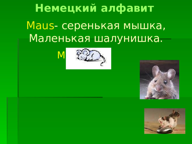 Немецкий алфавит Maus - серенькая мышка, Маленькая шалунишка. Mm 