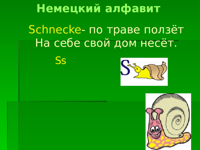 Немецкий алфавит Schnecke - по траве ползёт На себе свой дом несёт. Ss 