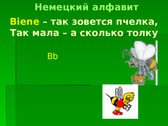 Немецкий алфавит Biene – так зовется пчелка,  Так мала – а сколько толку Bb 