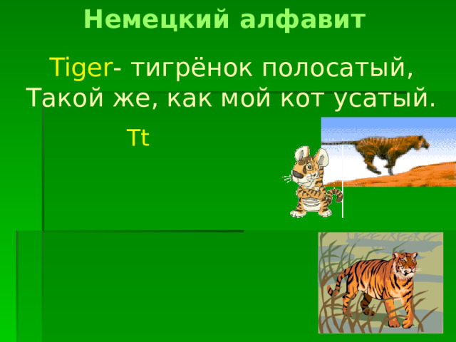 Немецкий алфавит Tiger - тигрёнок полосатый, Такой же, как мой кот усатый. Tt 