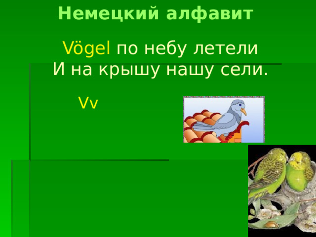 Немецкий алфавит Vögel  по небу летели И на крышу нашу сели. Vv 