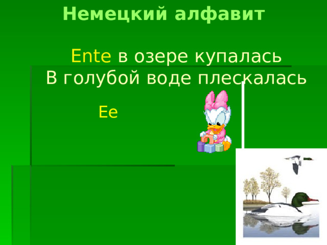 Немецкий алфавит Ente в озере купалась  В голубой воде плескалась Ee 
