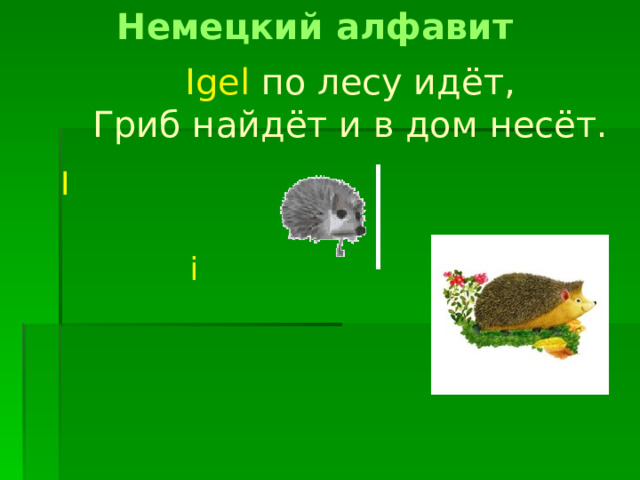 Немецкий алфавит Igel по лесу идёт,  Гриб найдёт и в дом несёт. I i 