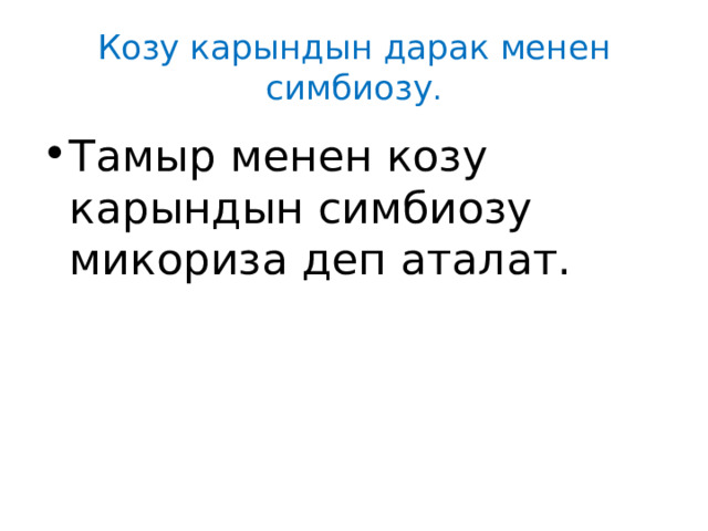 Козу карындын дарак менен симбиозу . Тамыр менен козу карындын симбиозу микориза деп аталат. 