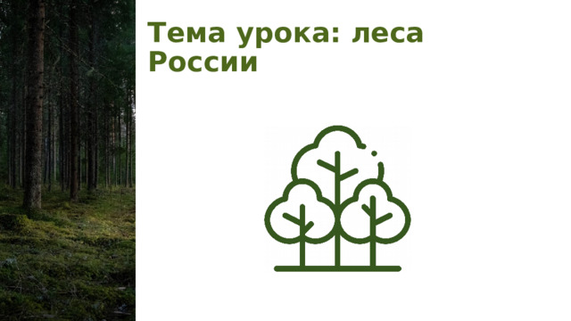 Тема урока: леса России 