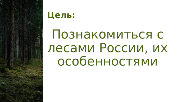 Цель: Познакомиться с лесами России, их особенностями 