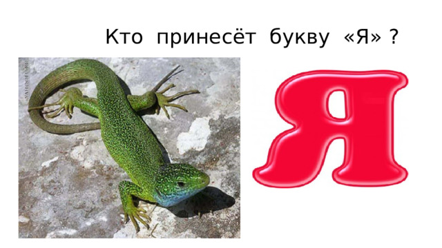  Кто принесёт букву «Я» ? 