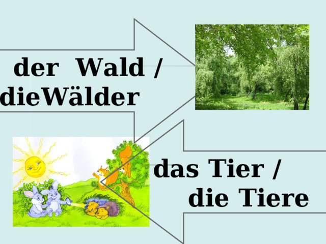  der Wald /  die Wälder   das Tier /  die Tiere 