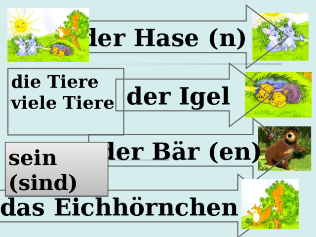  der Hase (n)  der Igel die Tiere viele Tiere  der Bär (en) sein (sind)  das Eichhörnchen 