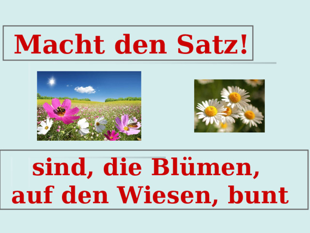  Macht den Satz!  sind, die Bl ümen,  auf den Wiesen, bunt  