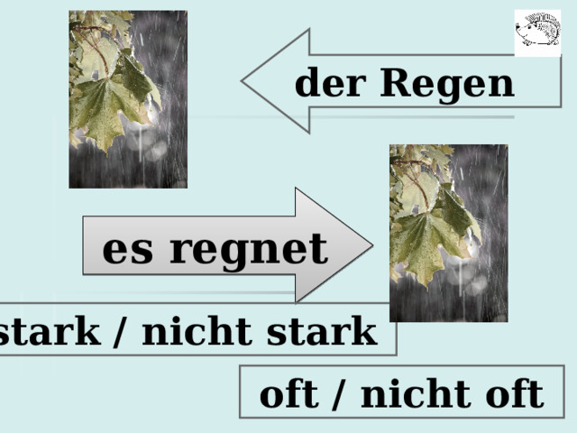  der Regen  es regnet  stark / nicht stark  oft / nicht oft 