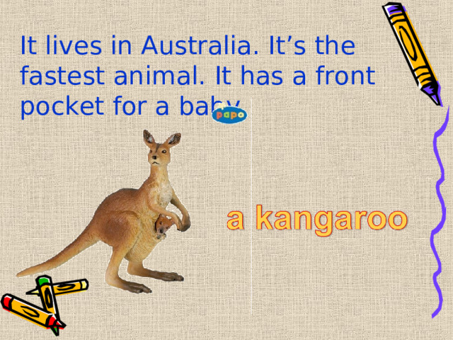 It lives in Australia. It’s the fastest animal. It has a front pocket for a baby. 