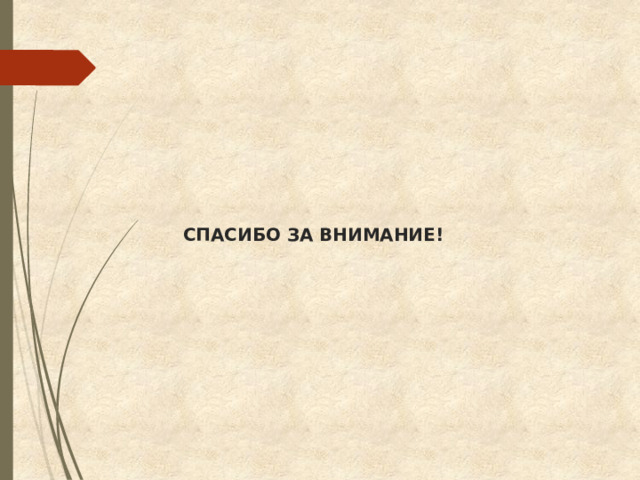 СПАСИБО ЗА ВНИМАНИЕ! 