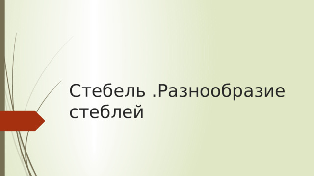 Стебель .Разнообразие стеблей 