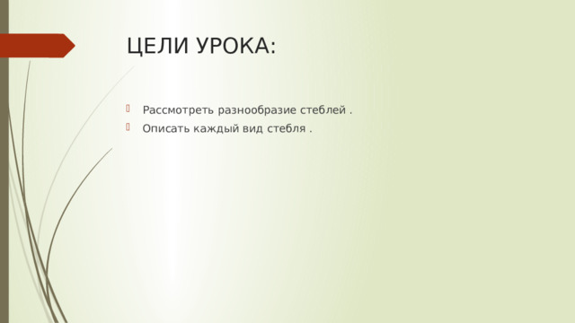 ЦЕЛИ УРОКА: Рассмотреть разнообразие стеблей . Описать каждый вид стебля . 