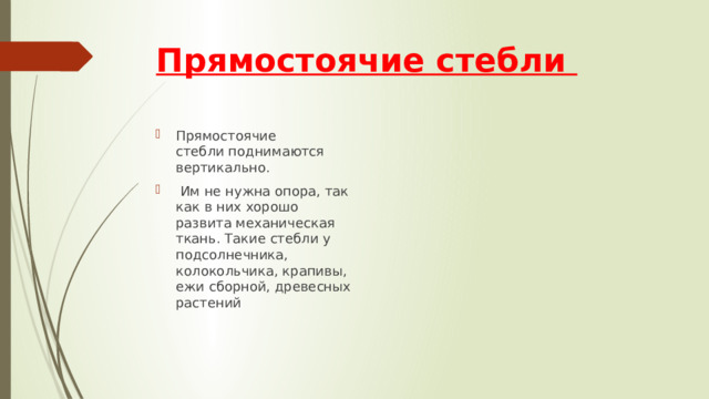 Прямостоячие стебли Прямостоячие стебли поднимаются вертикально.   Им не нужна опора, так как в них хорошо развита механическая ткань. Такие стебли у подсолнечника, колокольчика, крапивы, ежи сборной, древесных растений 