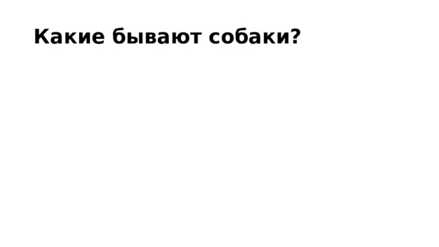 Какие бывают собаки? 