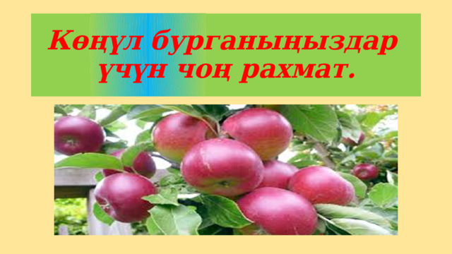 Көңүл бурганыңыздар  үчүн чоң рахмат. 