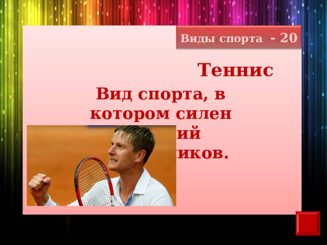 Виды спорта - 20 Теннис Вид спорта, в котором силен Евгений Кафельников. 