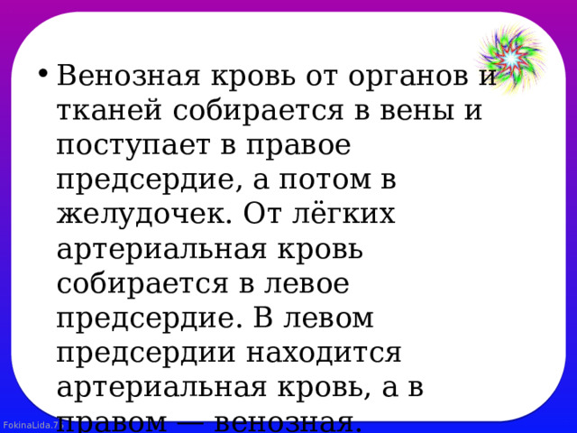 Венозная кровь от органов и тканей собирается в вены и поступает в правое предсердие, а потом в желудочек. От лёгких артериальная кровь собирается в левое предсердие. В левом предсердии находится артериальная кровь, а в правом — венозная. Желудочек заполнен смешанной кровью. 