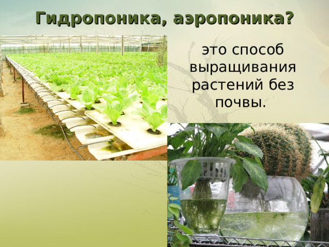 Гидропоника, аэропоника?         это способ выращивания  растений без почвы.   