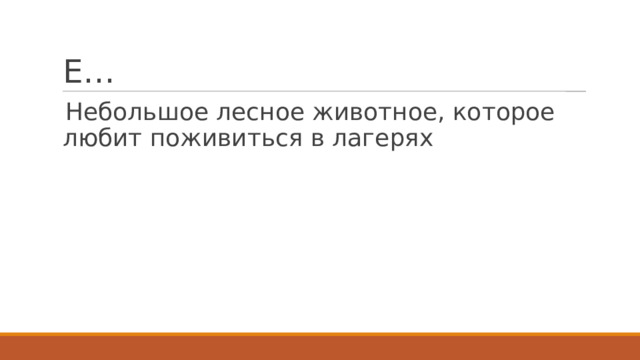 Е… Небольшое лесное животное, которое любит поживиться в лагерях 