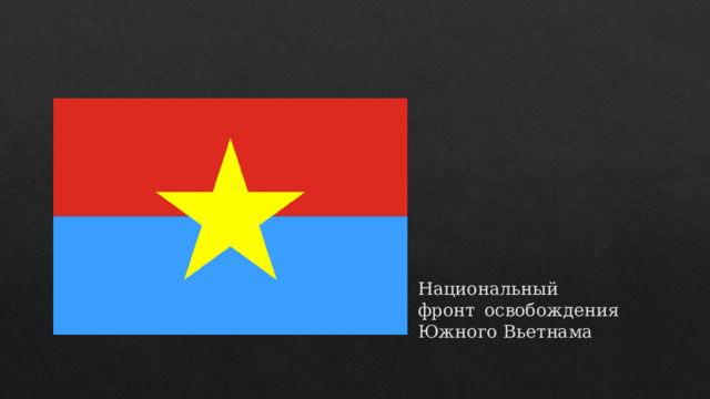 Национальный фронт освобождения Южного Вьетнама 
