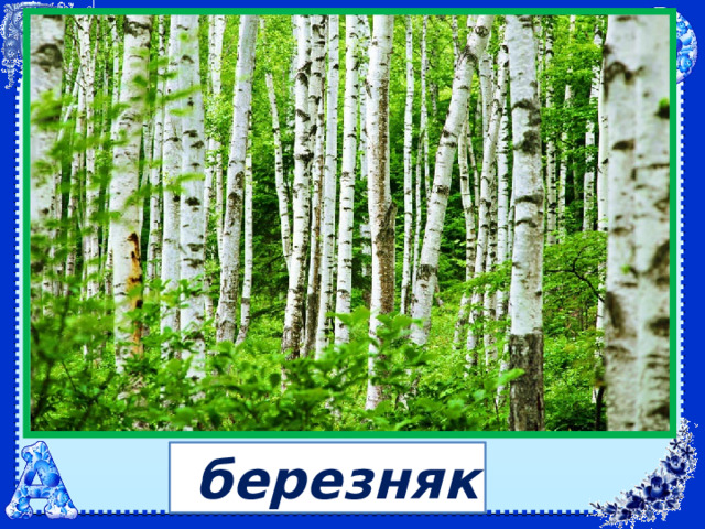  березняк 
