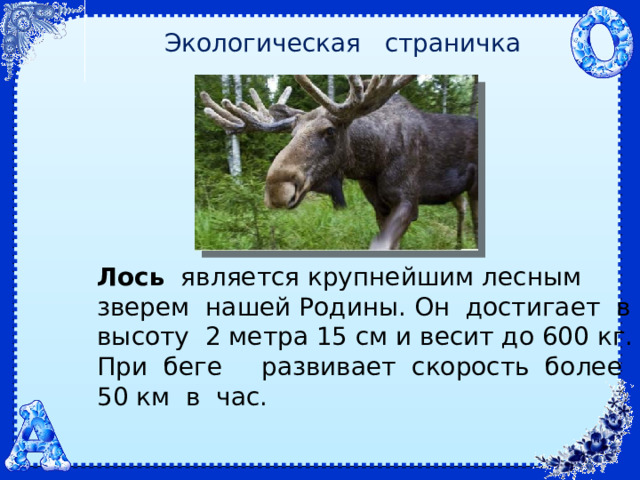 Экологическая страничка Лось   является крупнейшим лесным зверем нашей Родины. Он достигает в высоту 2 метра 15 см и весит до 600 кг. При беге развивает скорость более 50 км в час. 