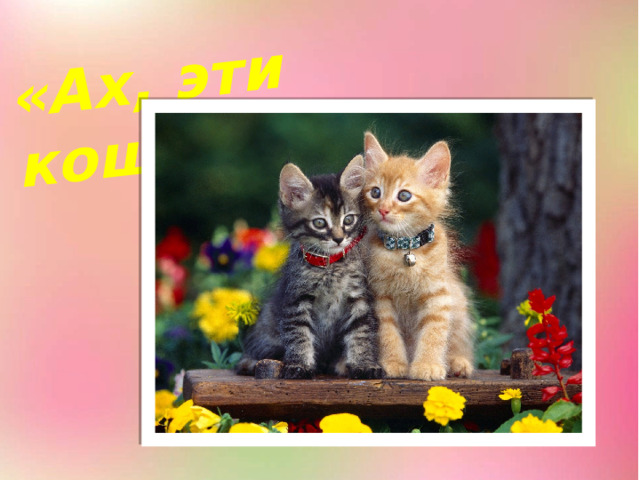 «Ах, эти кошки!» 