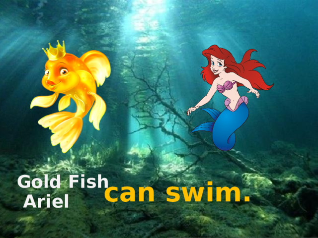 Gold Fish can swim. Ariel 